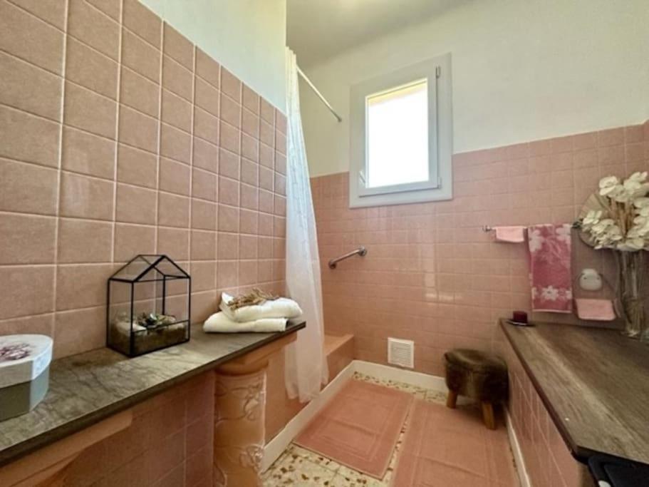 Appartement St Laurent Сан-Лорон-дьо-ла-Салонк Екстериор снимка